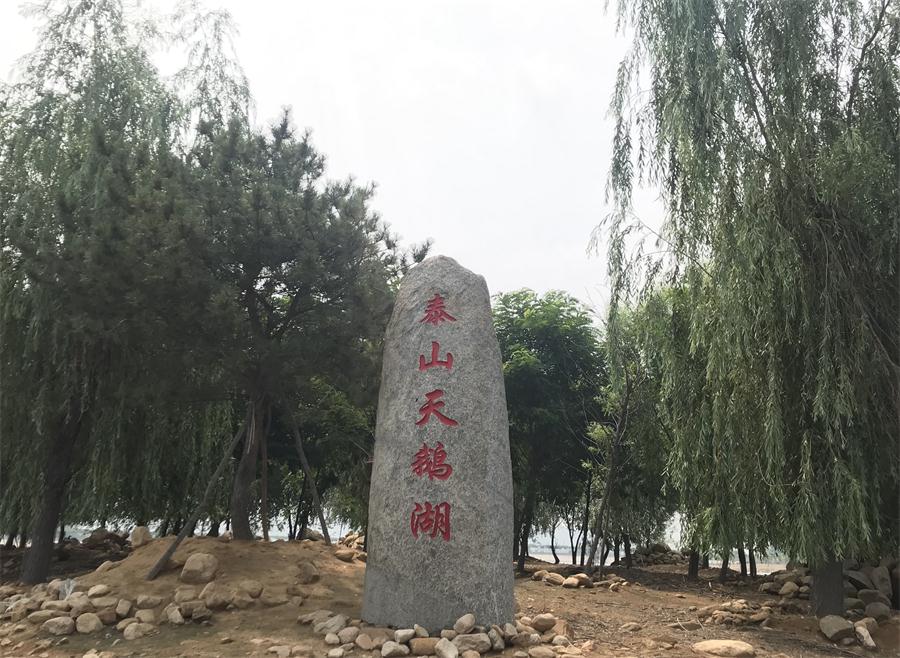 天鵝湖風景區(qū)（泰山）速覽！(圖12)