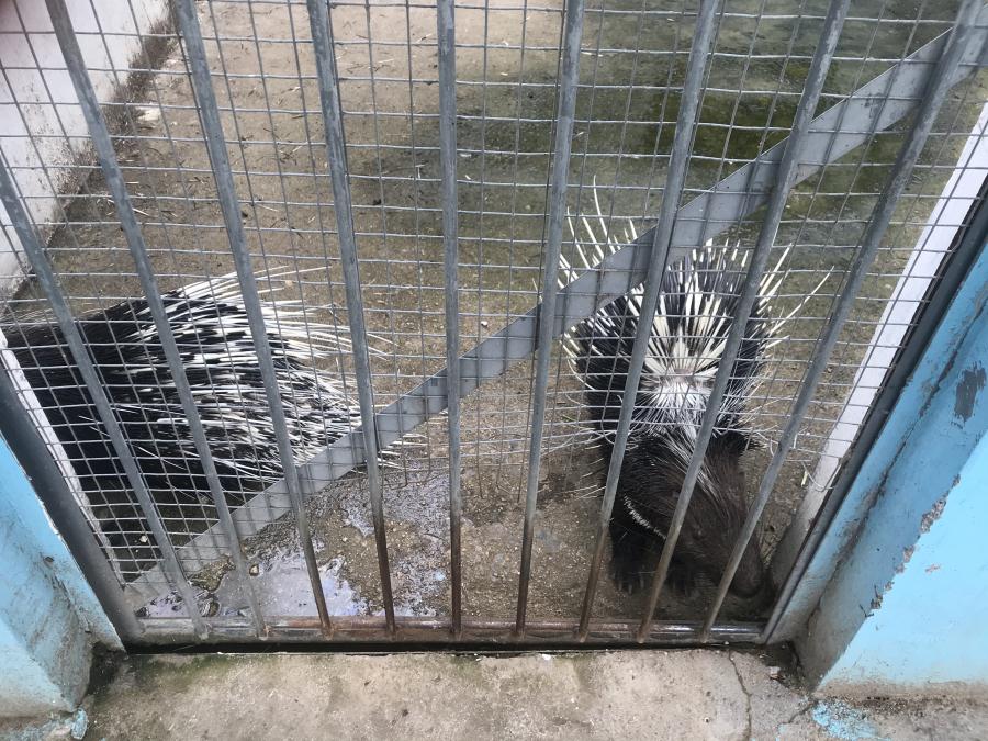 天鵝湖風景區(qū)（泰山）速覽！(圖10)