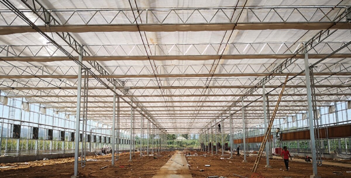 信橋鋼構(gòu)：打卡蒙陰農(nóng)業(yè)溫室大棚、青州黑牛養(yǎng)殖基地！(圖3)