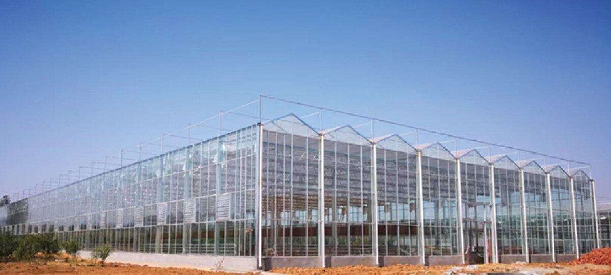 信橋鋼構(gòu)：打卡蒙陰農(nóng)業(yè)溫室大棚、青州黑牛養(yǎng)殖基地！(圖2)